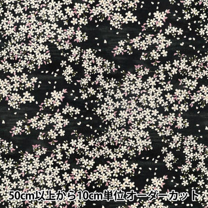 [Anzahl ab 5] Stoff "„Breites Sakura-Schwarz KTS7195-E“ COTTON KOBAYASHI