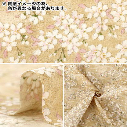 [Quantità da 5] Tessuto "Ampio Sakura Avorio KTS7195-A” COTTON KOBAYASHI