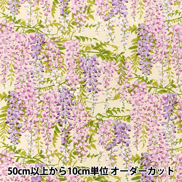 [Anzahl ab 5] Stoff "Southern Cross Glyzinien-Blumenmuster Elfenbein KTS7191-A“ COTTON KOBAYASHI
