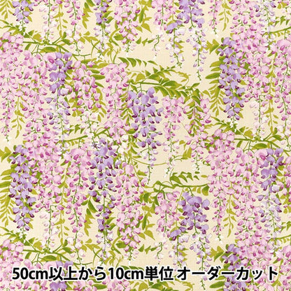 [Anzahl ab 5] Stoff "Southern Cross Glyzinien-Blumenmuster Elfenbein KTS7191-A“ COTTON KOBAYASHI