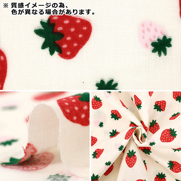 [Anzahl ab 5] Stoff 『Doppelgaze Korokoro Ichigo Green DKI-GR"