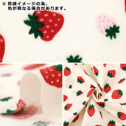 [Anzahl ab 5] Stoff 『Doppelgaze Korokoro Ichigo Green DKI-GR"