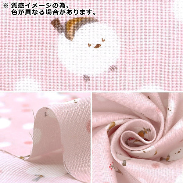 [Menge ab 5] Stoff 『leinwandbindung Shima Enaga Elfenbein AP51202-1a"