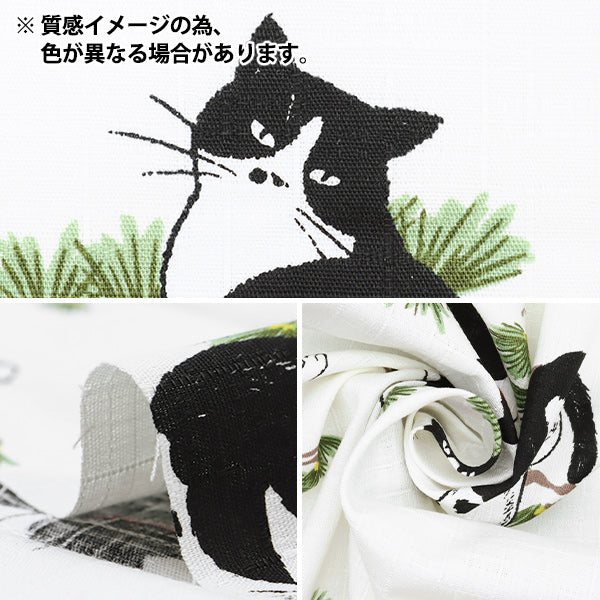 [Quantity starting from 5] Fabric "Dobby Hachiware Cat Black AP51103-2E"