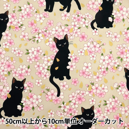 [Quantity starting from 5] Fabric 『Sheeting Hyakuhayaran Black Cat and Cherry Blossom Ivory HR3520-11A" Quilt Gate Quilt Gate