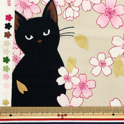 [Cantidad a partir de 5] Tela 『láminas Hyakuhayaran Black Gat and Cherry Blossom Ivory HR3520-11A" Puerta de colcha Puerta de edredón