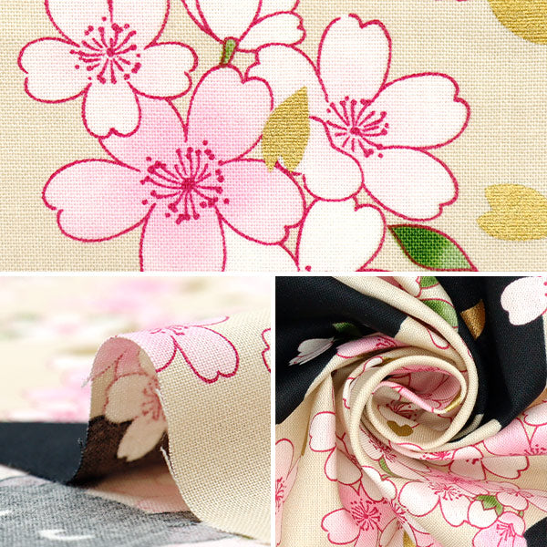 [Cantidad a partir de 5] Tela 『láminas Hyakuhayaran Black Gat and Cherry Blossom Ivory HR3520-11A" Puerta de colcha Puerta de edredón