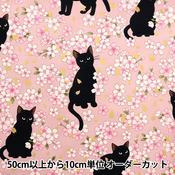 [Quantity starting from 5] Fabric 『Sheeting Hyakurean Black Cat and Cherry Blossom Pink HR3520-11B" Quilt Gate Quilt Gate