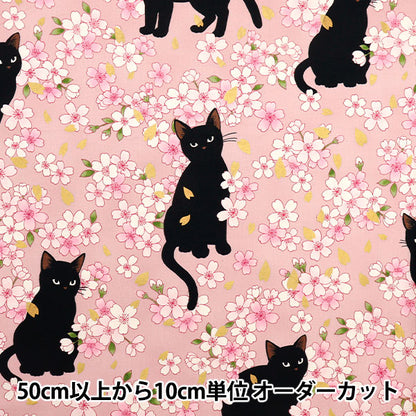 [Quantity starting from 5] Fabric 『Sheeting Hyakurean Black Cat and Cherry Blossom Pink HR3520-11B" Quilt Gate Quilt Gate