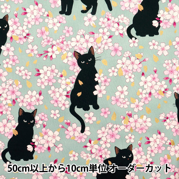 [Quantity starting from 5] Fabric 『Sheeting Hyakuhayaran Black Cat and Cherry Blossom Saxophone HR3520-11C" Quilt Gate Quilt Gate