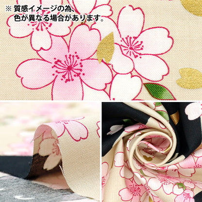 [Quantity starting from 5] Fabric 『Sheeting Hyakuhayaran Black Cat and Cherry Blossom Saxophone HR3520-11C" Quilt Gate Quilt Gate