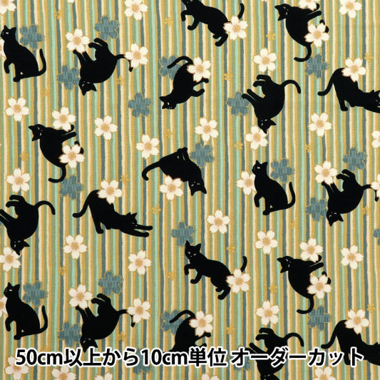 [Quantity starting from 5] Fabric 『Sheeting Hyakuhayaran Black Cat and Cherry Blossom Stripe Green HR3520-12B" Quilt Gate Quilt Gate