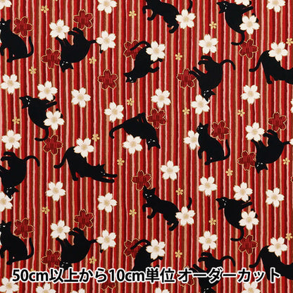 [Quantity starting from 5] Fabric 『Sheeting Hyakurean Black Cat and Cherry Blossom Stripe Red HR3520-12D" Quilt Gate Quilt Gate