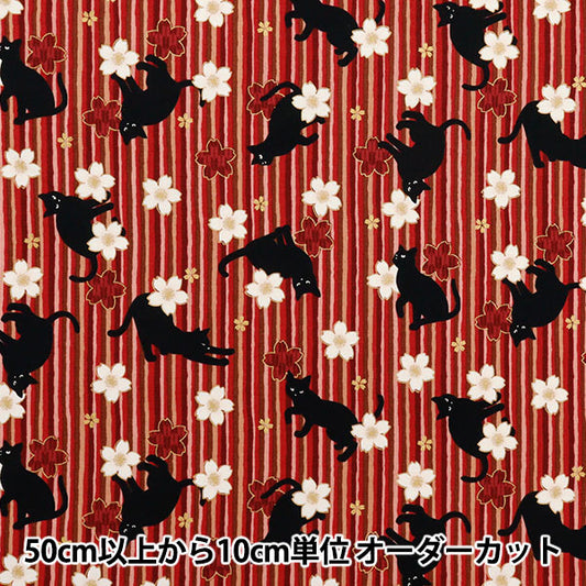 [Quantity starting from 5] Fabric 『Sheeting Hyakurean Black Cat and Cherry Blossom Stripe Red HR3520-12D" Quilt Gate Quilt Gate