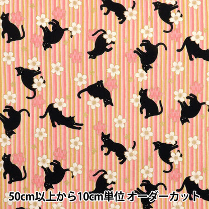 [Quantity starting from 5] Fabric 『Sheeting Hyakuhayaran Black Cat and Cherry Blossom Stripe Pink HR3520-12A" Quilt Gate Quilt Gate