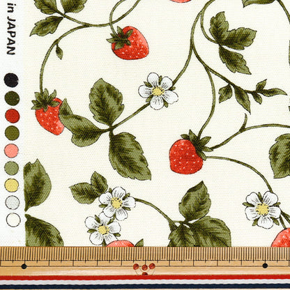 【数量5から】 生地 『オックス エッセンシャルガーデン ストロベリー オフ白 AP51801-2A』