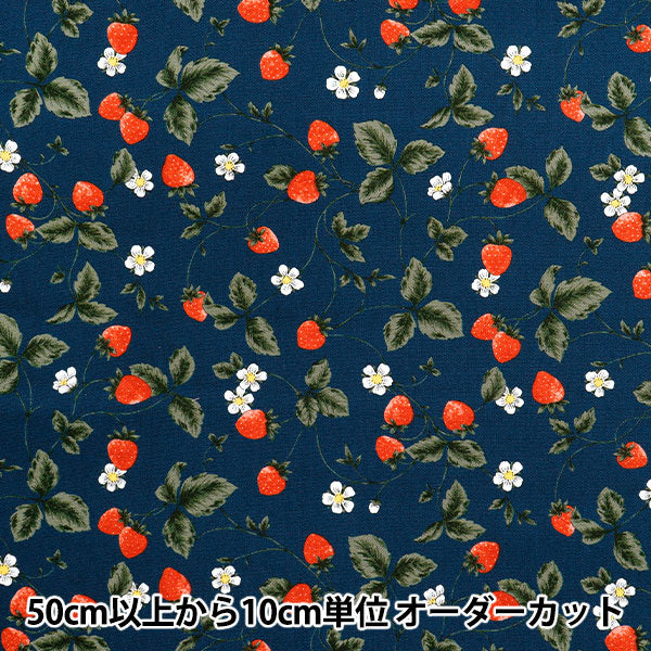 [Quantità a partire da 5] Tessuto 『Oxford Essential Garden Strawberry Navy AP51801-2D"