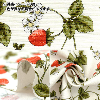 [Quantità a partire da 5] Tessuto 『Oxford Essential Garden Strawberry Navy AP51801-2D"