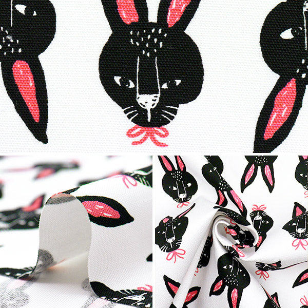 [Quantité à partir de 5] Tissu 『Oxford Pakit Animal Rabbit blanc AP52901-1A"