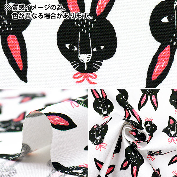 [Cantidad a partir de 5] Tela 『Oxford Pakit Animal Rabbit verde AP52901-1C"