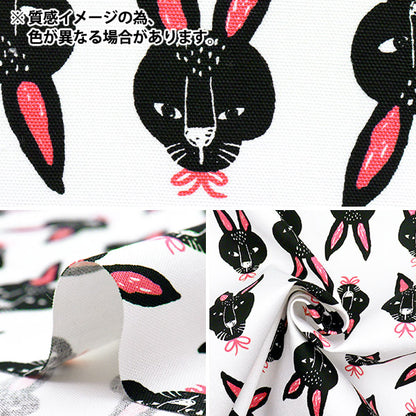 [Cantidad a partir de 5] Tela 『Oxford Pakit Animal Rabbit Blue AP52901-1F"