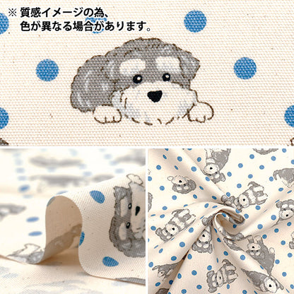 [Quantità a partire da 5] Tessuto 『Oxford PoisSchnauzer Navy AP52903-1D"