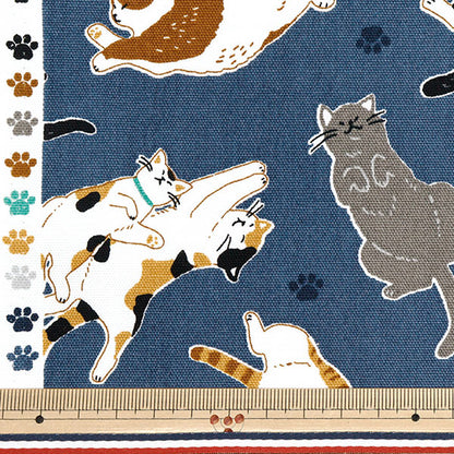 [Cantidad a partir de 5] Tela 『Oxford Navy Cat Navy AP52903-2E"