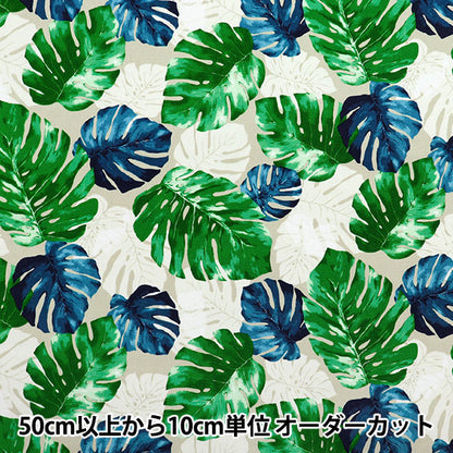 [Cantidad a partir de 5] Tela 『Oxford Hawaiian Monstera Beige X Green AP52202-1A"