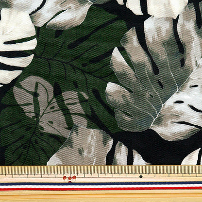 [Cantidad a partir de 5] Tela 『Oxford Monstera hawaiano Black AP52202-1E"