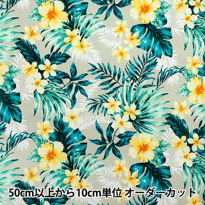 [Cantidad a partir de 5] Tela 『Oxford Hawaiian Hibiscus beige x amarillo AP52202-2A"