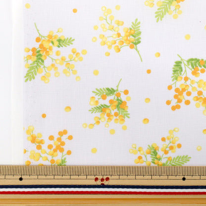 [Quantità a partire da 5] Tessuto 『tessuto ad armatura sempliceMIMOSA MIMOSA MIMOSA AP4790-3C"