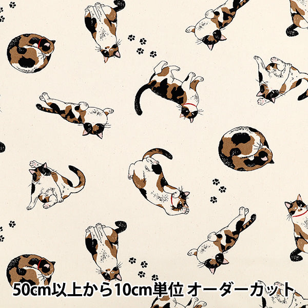 [Quantity starting from 5] Fabric 『Oxford Calico Cat Kinari AP52108-2A"