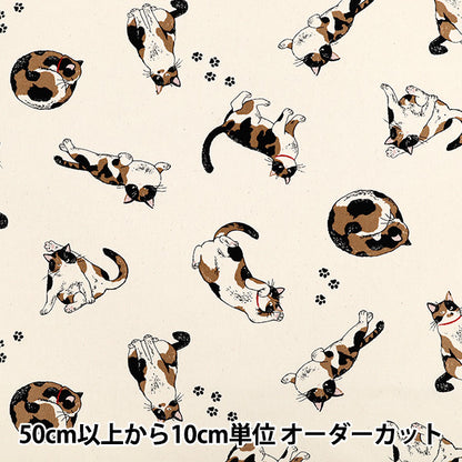 [Quantity starting from 5] Fabric 『Oxford Calico Cat Kinari AP52108-2A"
