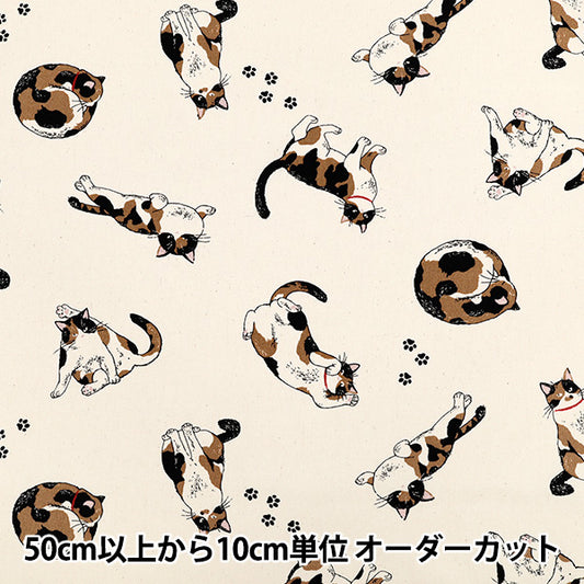 [Quantity starting from 5] Fabric 『Oxford Calico Cat Kinari AP52108-2A"