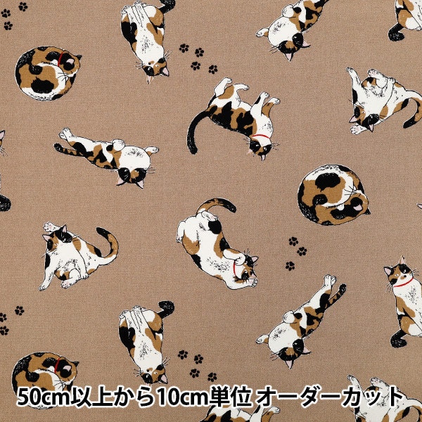 [Quantity starting from 5] Fabric 『Oxford Calico Cat Brown AP52108-2B"