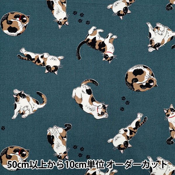 [Quantity starting from 5] Fabric 『Oxford Calico Cat Blue AP52108-2C"