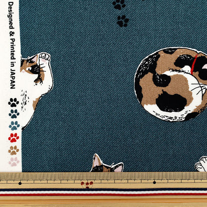 [Quantity starting from 5] Fabric 『Oxford Calico Cat Blue AP52108-2C"
