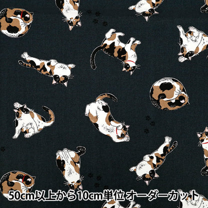 [Quantity starting from 5] Fabric 『Oxford Calico Cat Navy AP52108-2E"