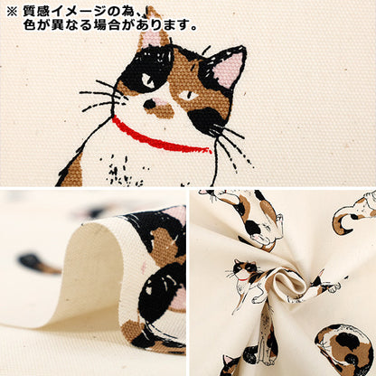 [Quantity starting from 5] Fabric 『Oxford Calico Cat Navy AP52108-2E"