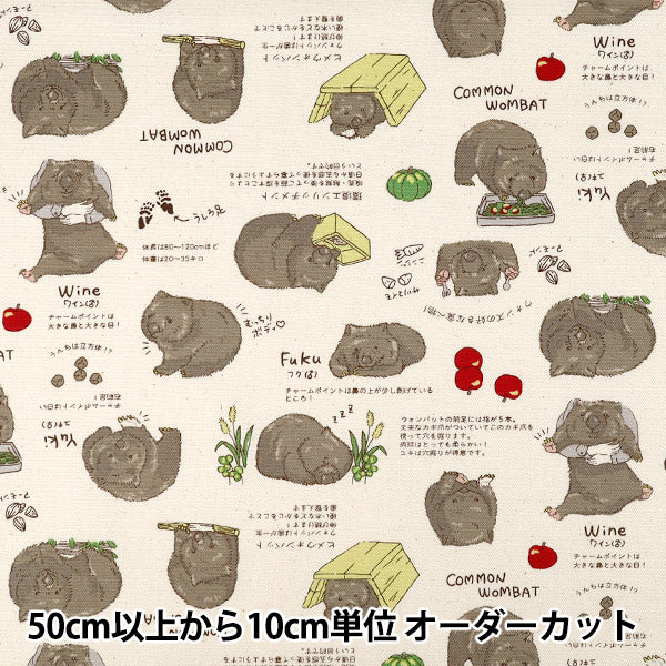 【数量5から】 生地 『オックス ウォンバット キナリ AP62901-1A』