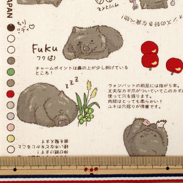 【数量5から】 生地 『オックス ウォンバット キナリ AP62901-1A』