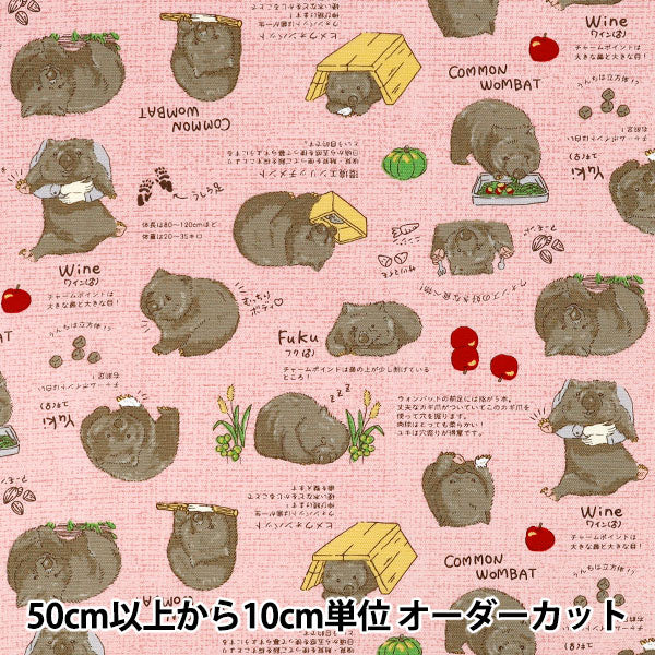 【数量5から】 生地 『オックス ウォンバット ピンク AP62901-1B』