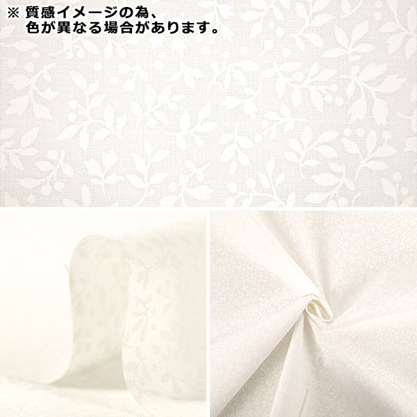 [Quantité à partir de 5] Tissu "tissu à armure toile Feuille de laque blanche blanche AP4800-1A”