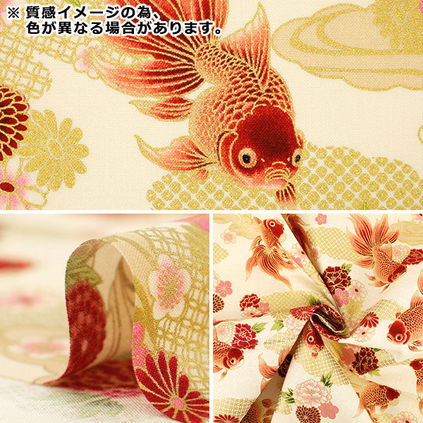 [Cantidad desde 5] Tela "láminas Cien flores, orquídea, peonía y pez dorado, saxofón HR3600-12B” Quilt Gate Quilt Gate