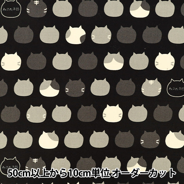 【数量5から】 生地 『オックス ねこたま ブラック AP1070-2F』