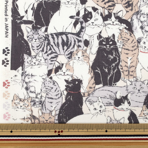 【수량 5부터】 천・원단 "옥스 도우부츠 페일 컬러 AP41401-1I』