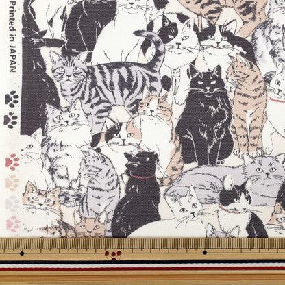 【수량 5부터】 천・원단 "옥스 도우부츠 페일 컬러 AP41401-1I』