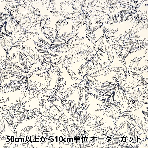 [Quantity starting from 5] Fabric "Broad Stylish Relaxed Reeves Ivory x Line 4231-1-1"