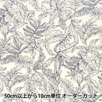 [Quantity starting from 5] Fabric "Broad Stylish Relaxed Reeves Ivory x Line 4231-1-1"