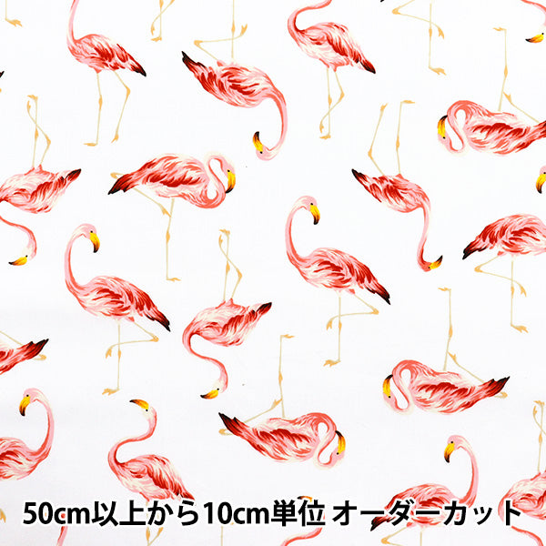 【数量5から】 生地 『ブロード フラミンゴ ホワイト 4235-1-1』